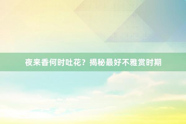 夜来香何时吐花?揭秘最好不雅赏时期